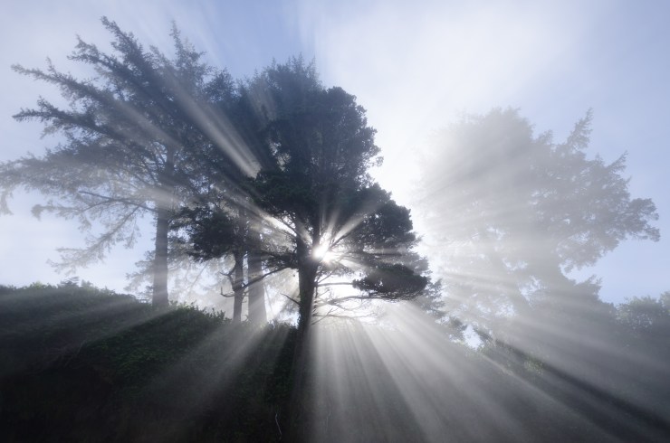 The Kingdom is not a place, its a state of consciousness