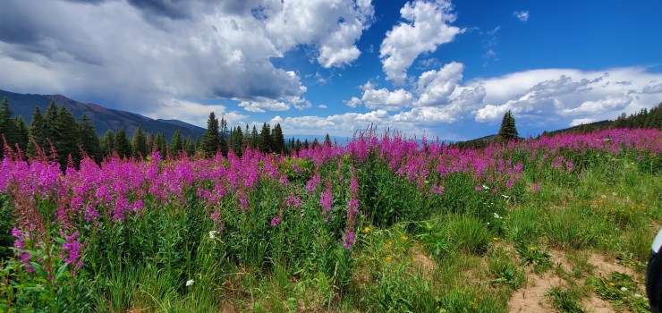 Sparks of emotion are not a measure of spiritual maturity