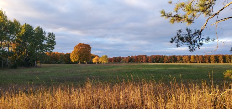 Surrendering your vision