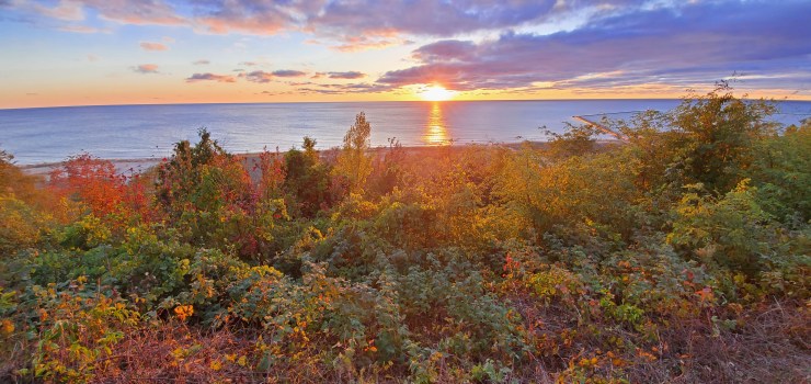 Grasping what can be known of God