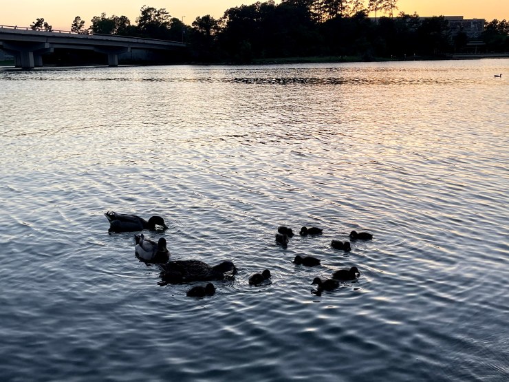 How God comes closer to each of His children